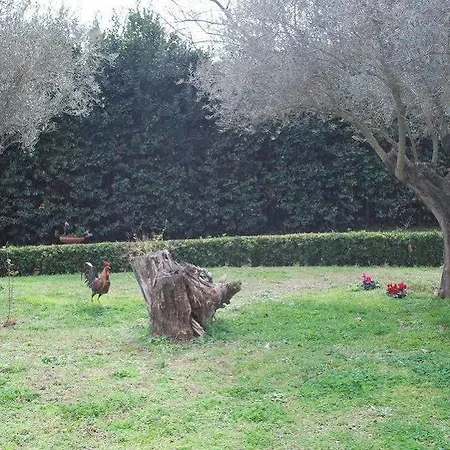 Hotel apartamentowy Casale Mostacciano 3*